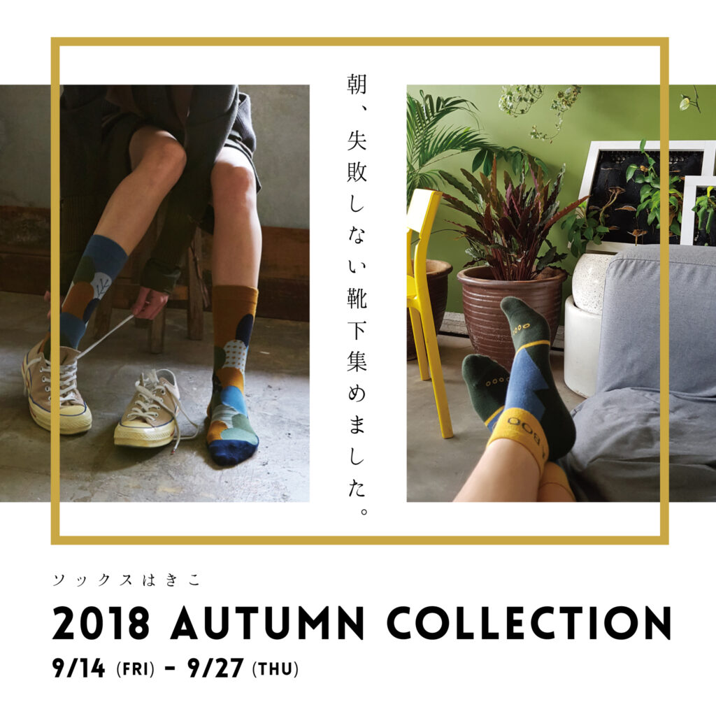 180914_SOCKSはきこ_insta